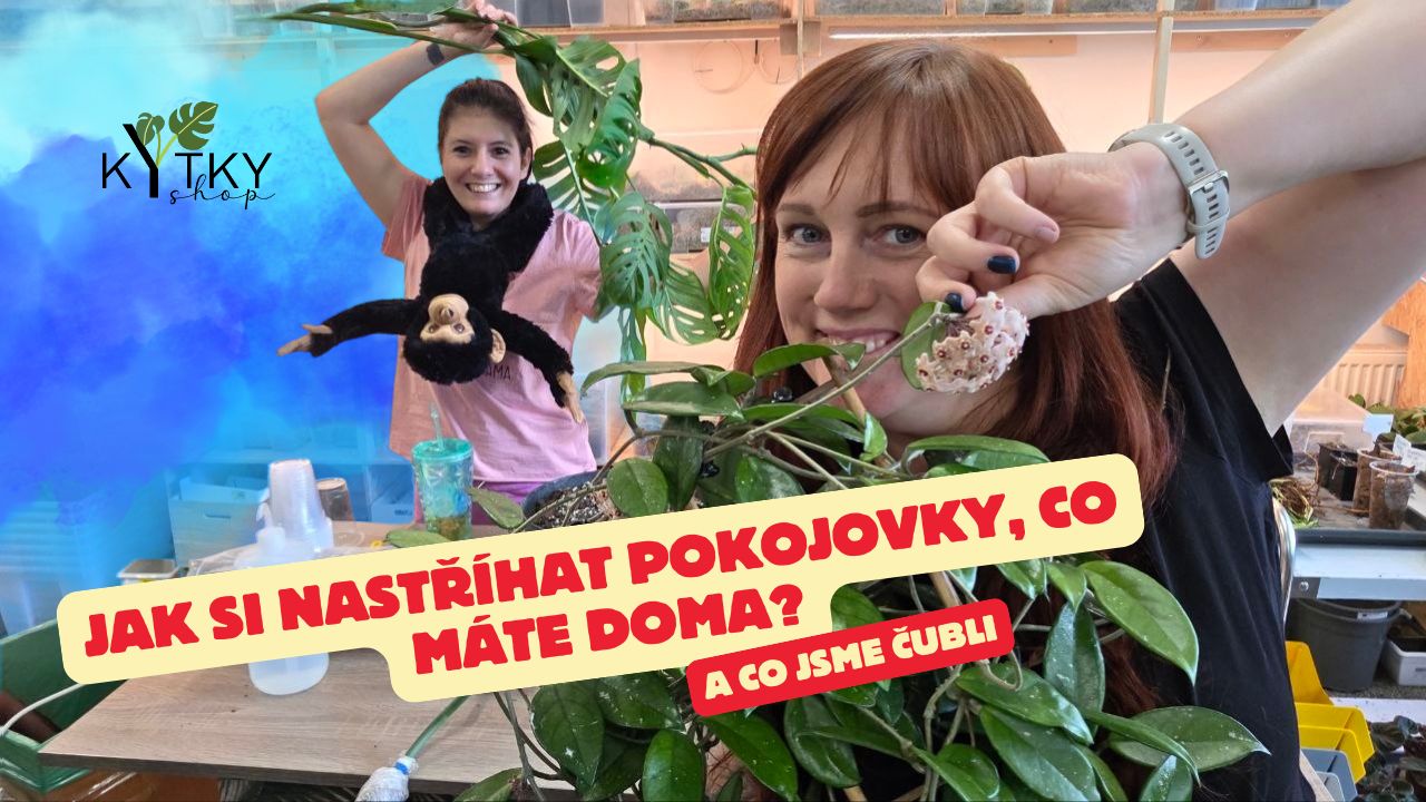 Jak si namnožit domácí úlovky z pohodlí domova